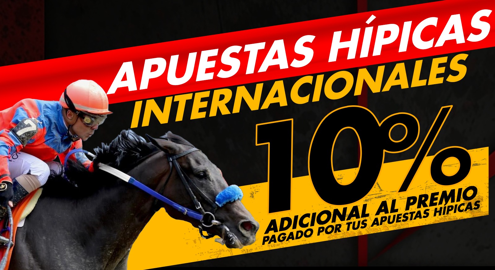 Tu Pasión por el Hipismo Internacional Paga Más: Recibe 10% Extra con RedHairBet